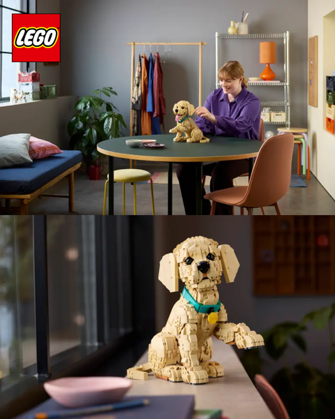 image_AD31E49C-1280-43BE-A8C1-346EEF33DE69_1768918984