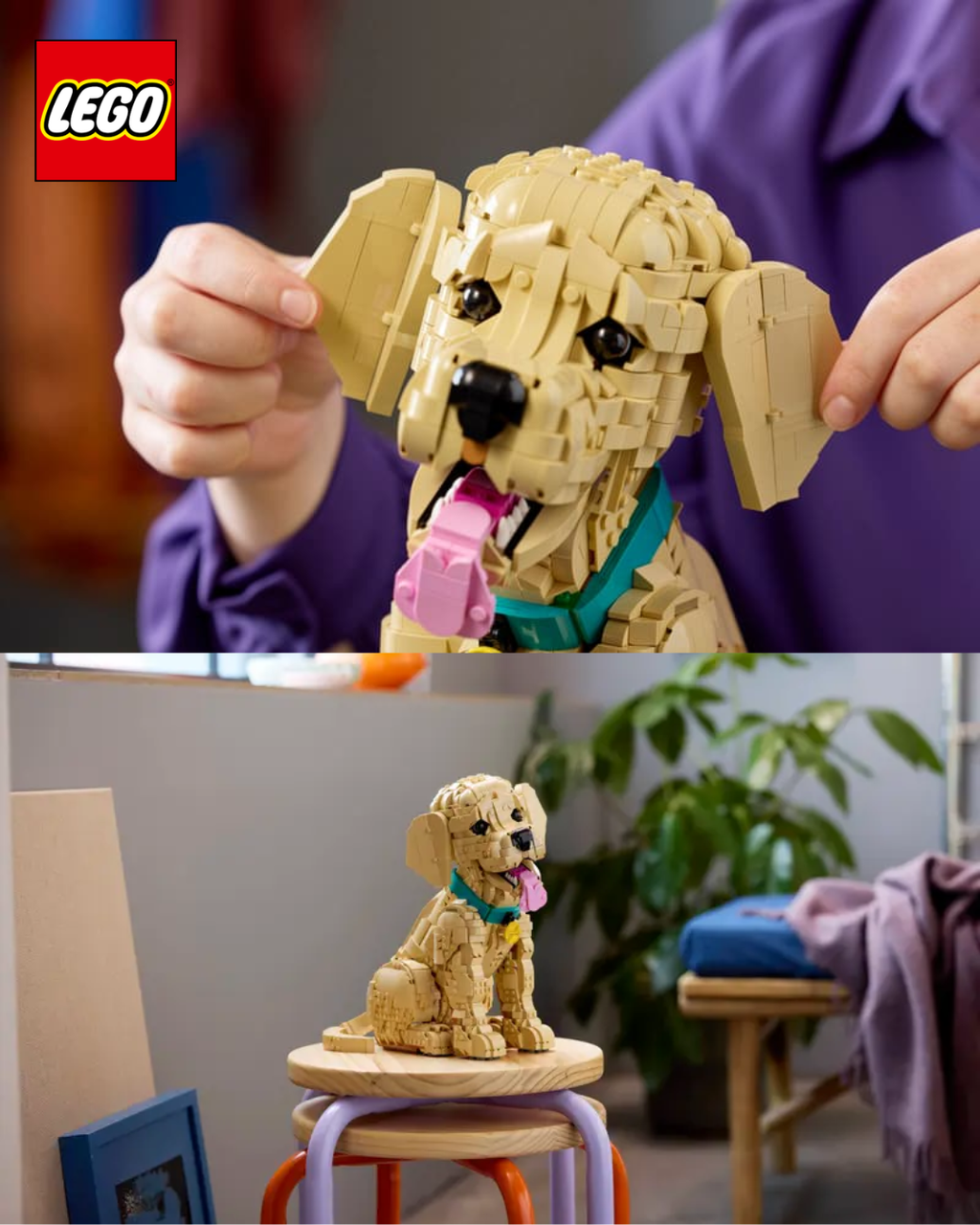 image_2D3C249E-3255-4424-BF2B-8AEFD8EE99A2_1768918984