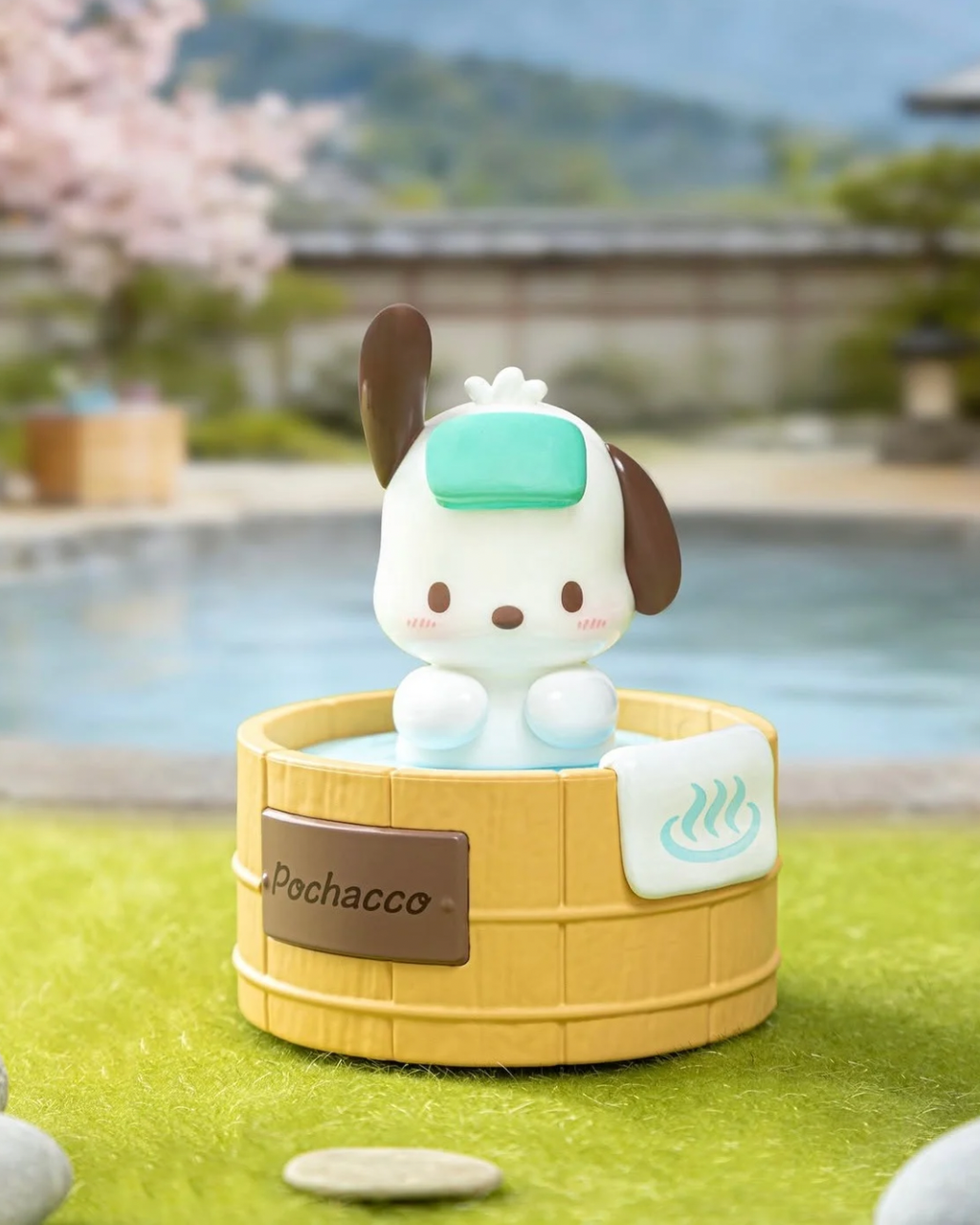 image_733C7E49-B09B-4B74-9F2C-6B1DE77442B8_1772365623