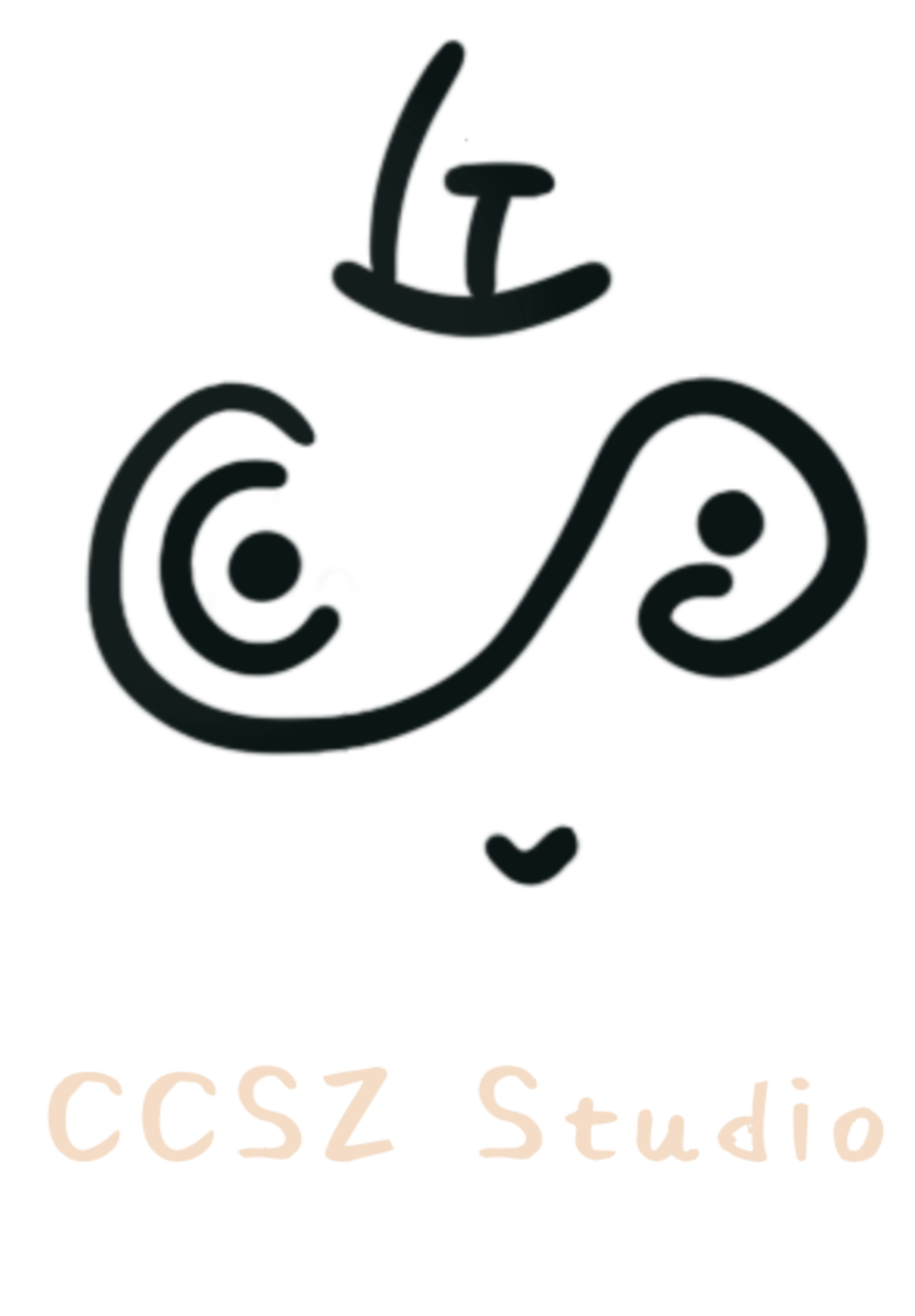 CCSZ Studio