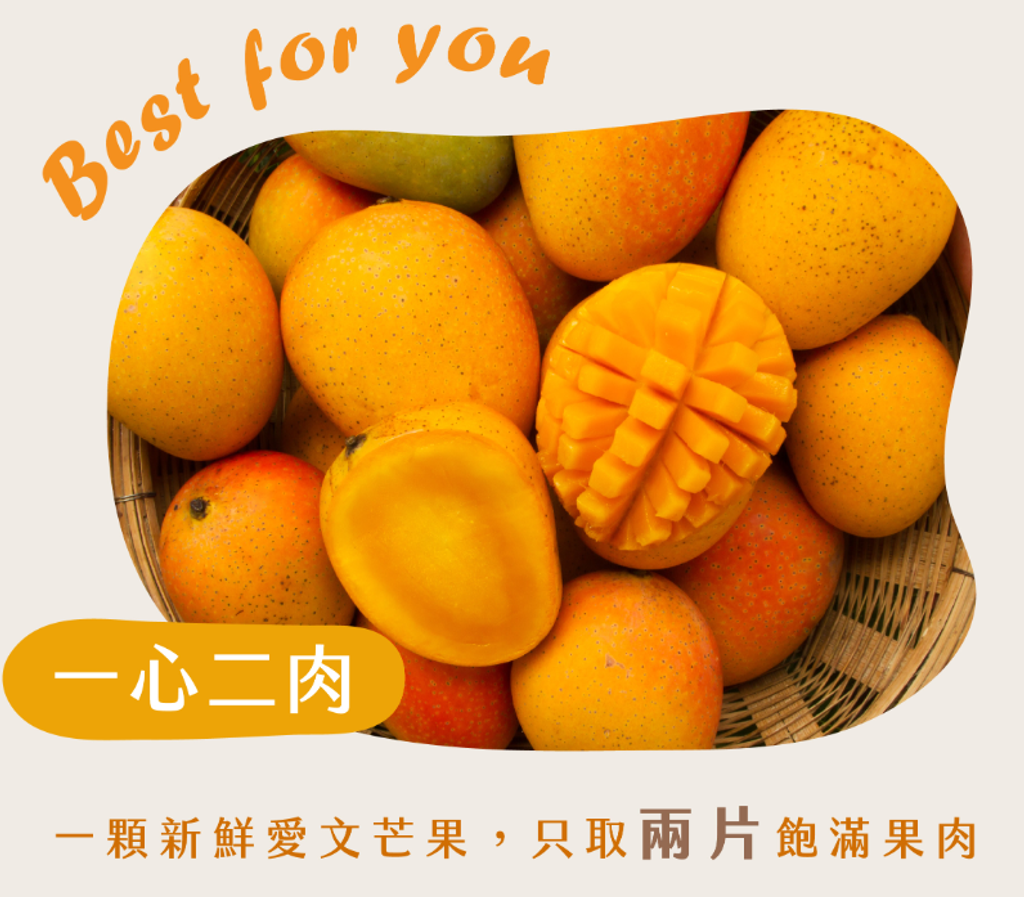 螢幕擷取畫面 2023-04-26 182049