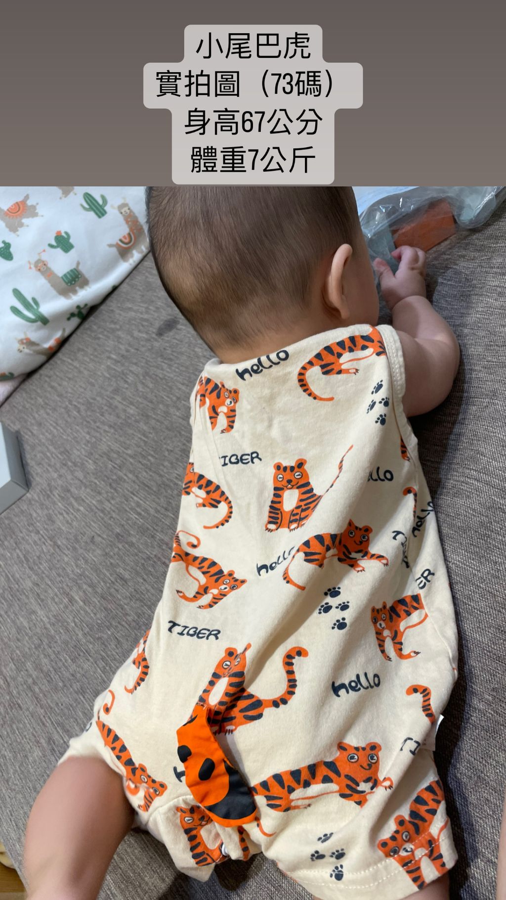 DCBDB012-0D19-4D0B-BA15-80D036C4766C