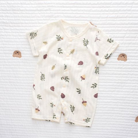 IMG_5895-1720342115118