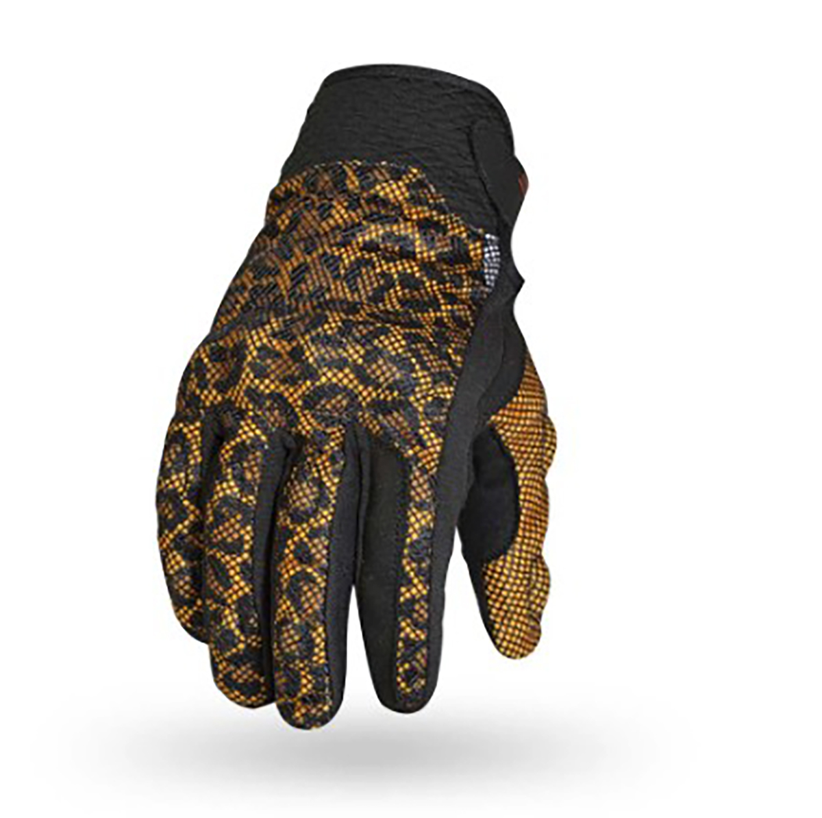 messageImage_1758265708153_0