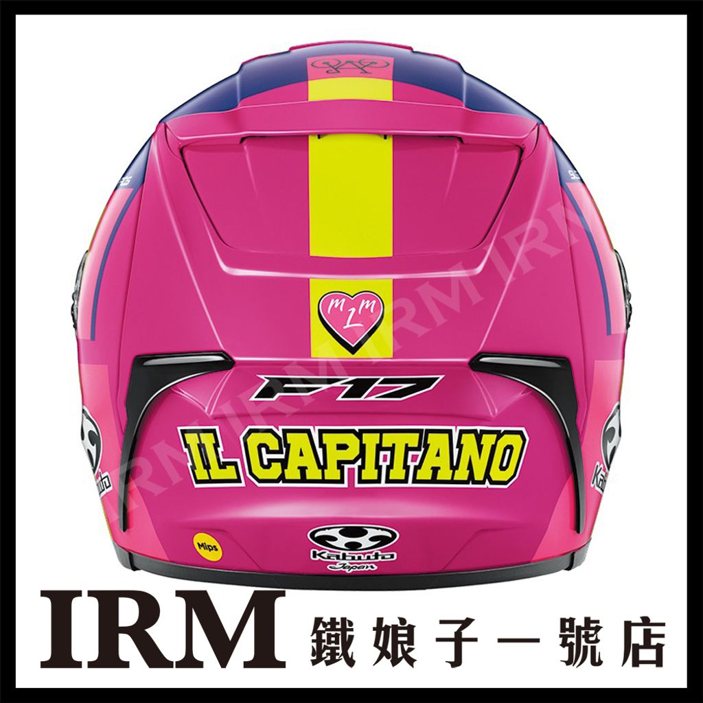 F-17 Mips ALEIX-2_05