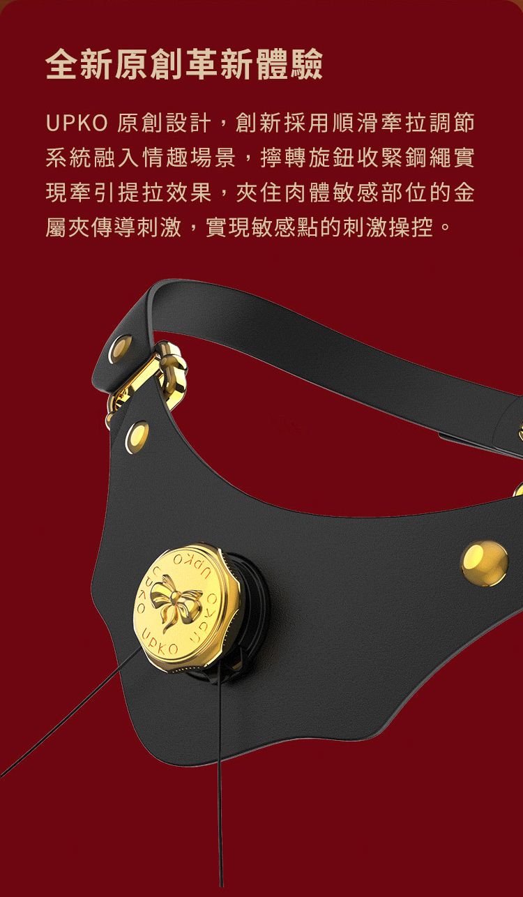 A920089-090-提線木偶真皮項圈牽拉乳夾+真皮腰帶分穴器_05