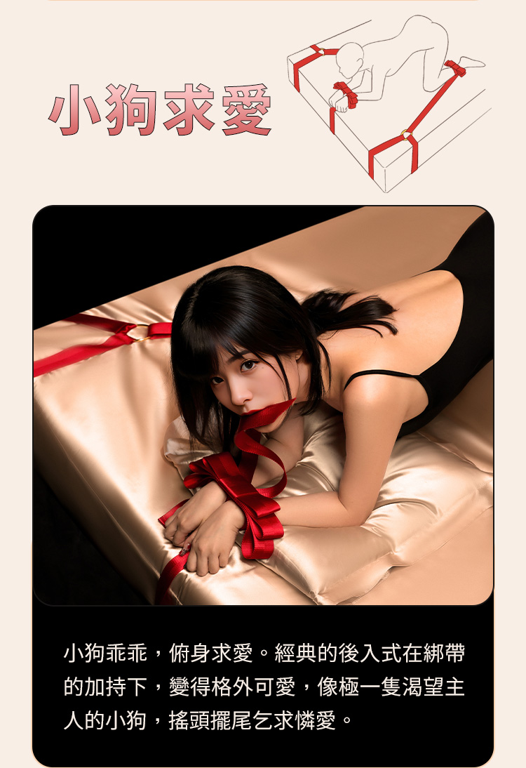 A920091-蝴蝶結床綁帶套裝_12