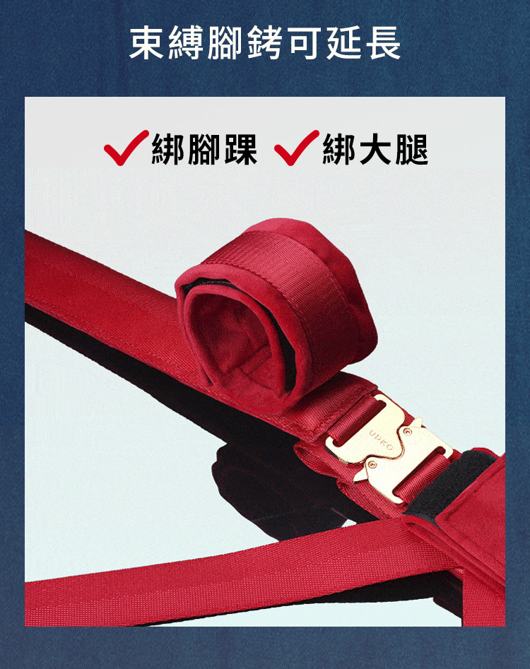 A920152-154-蝴蝶結一字縛束縛套裝+AV棒+矽膠陽具_06