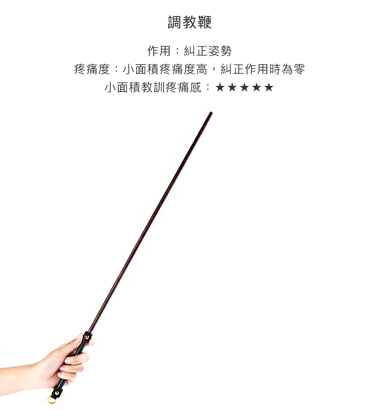 A909300-套裝-豪華調教櫃-升級_17