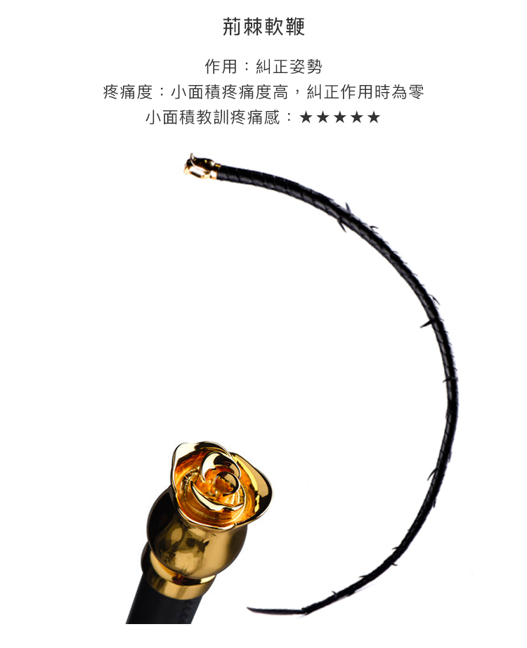 A909300-套裝-豪華調教櫃-升級_18
