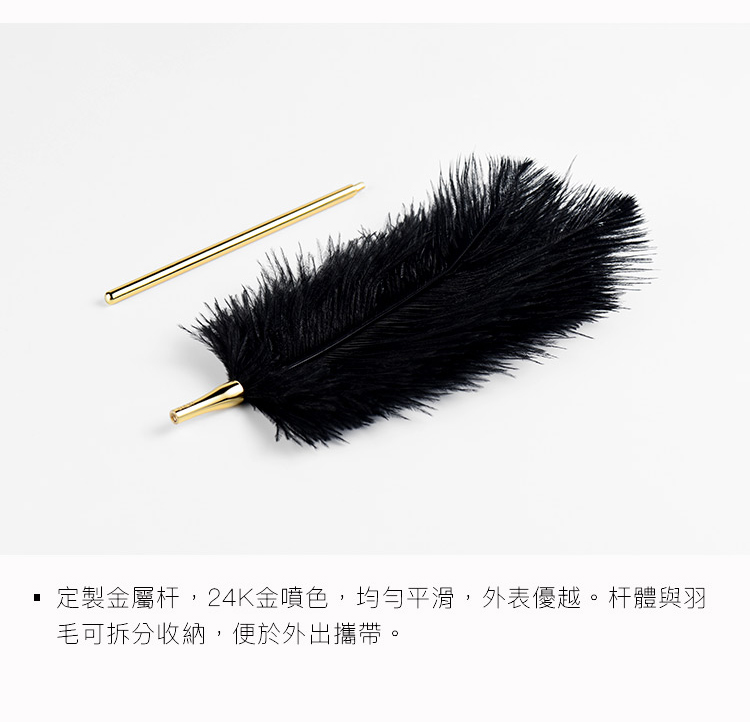PC-A909121-羽毛棒_05