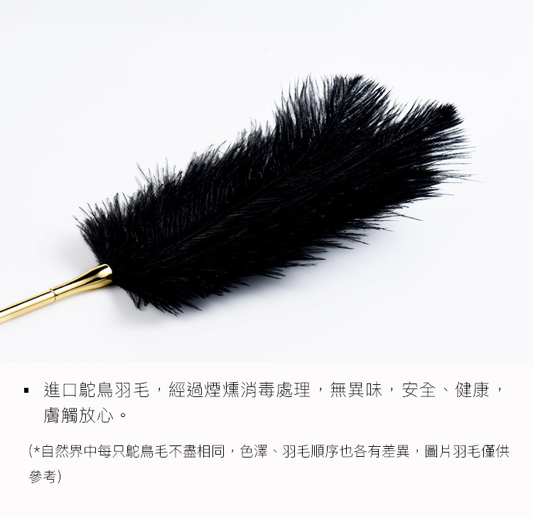 PC-A909121-羽毛棒_03