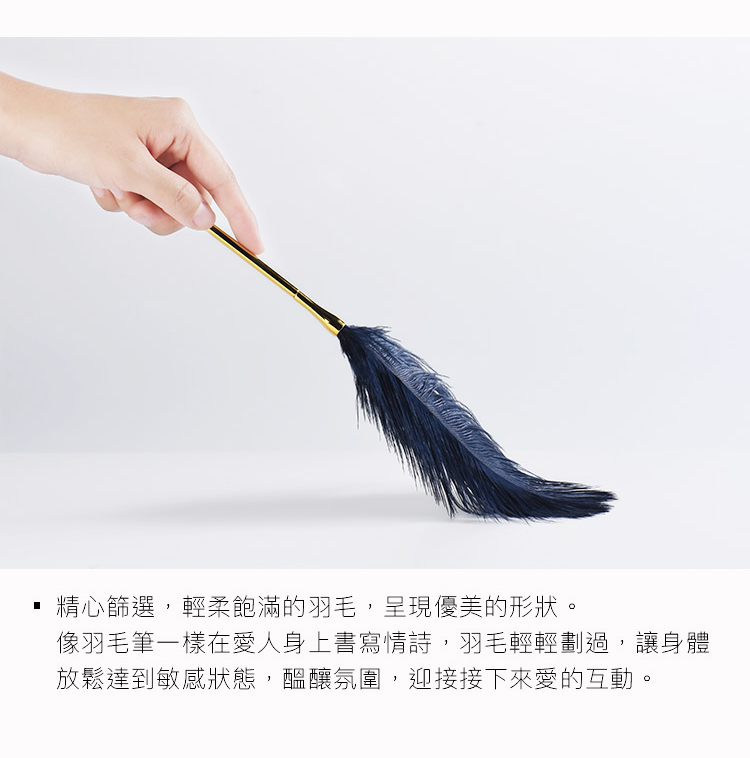PC-A909121-羽毛棒_04