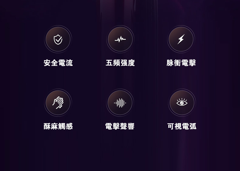 电散鞭详情_02