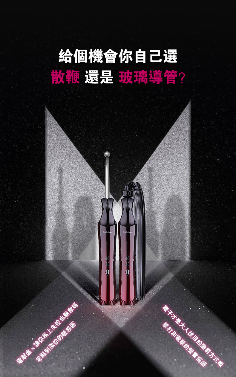 电散鞭详情_04