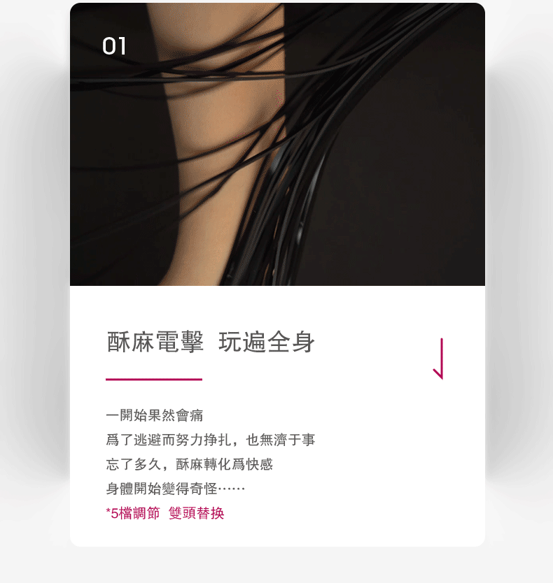 电散鞭详情_07