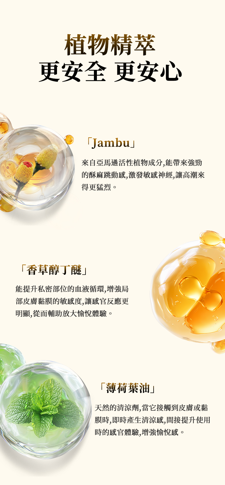 小金瓶二代繁体_09