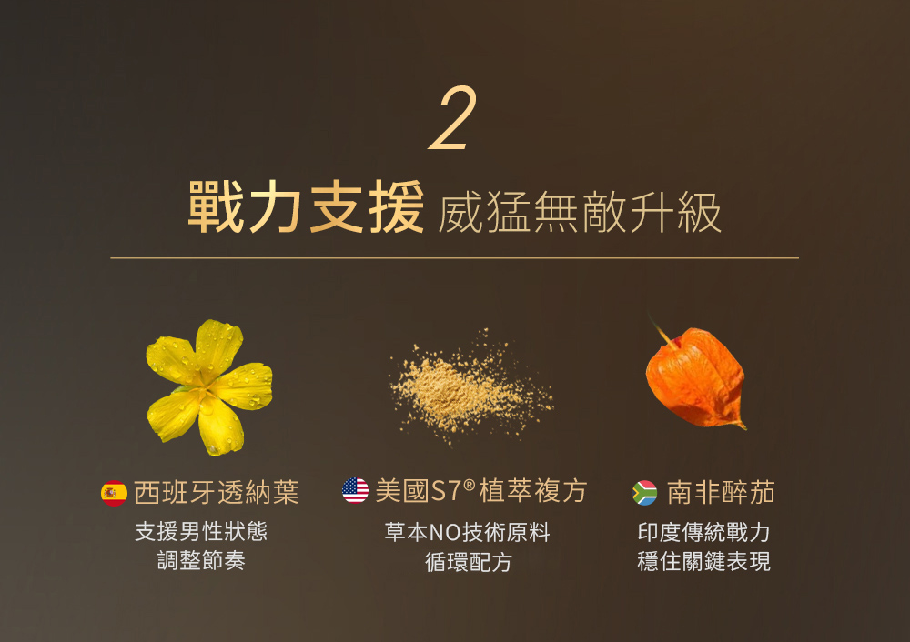 威猛錠2代-09.jpg 的副本