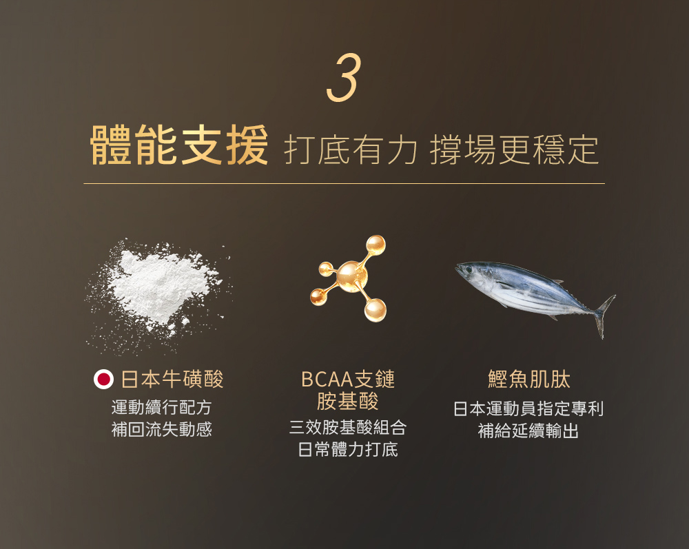 威猛錠2代-10.jpg 的副本