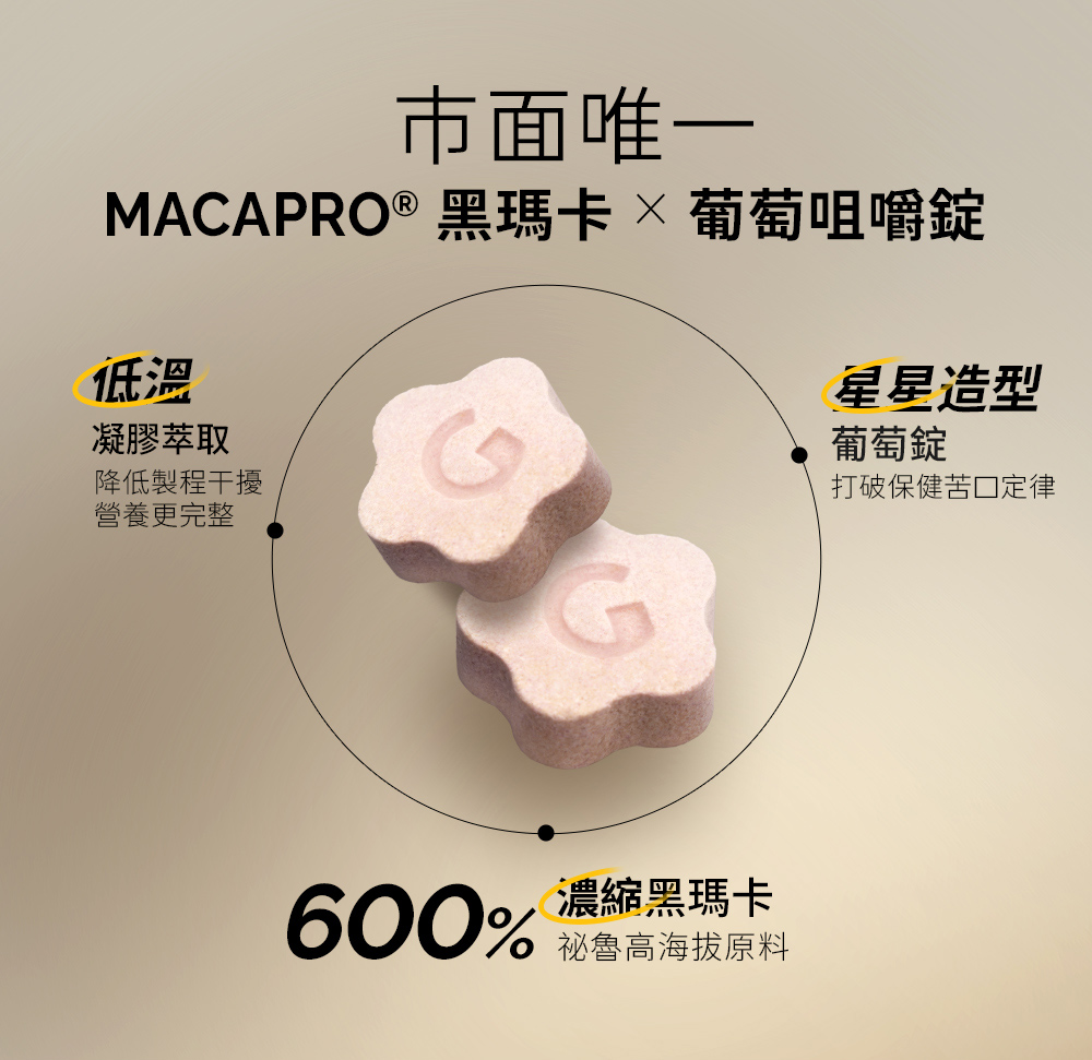 威猛錠2代-06.jpg 的副本