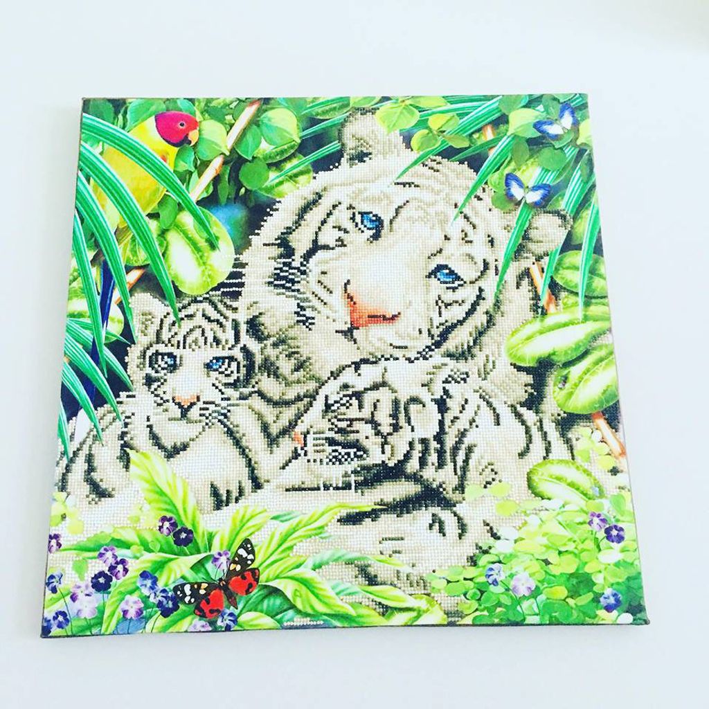 white%20tiger%20cubs%20framed