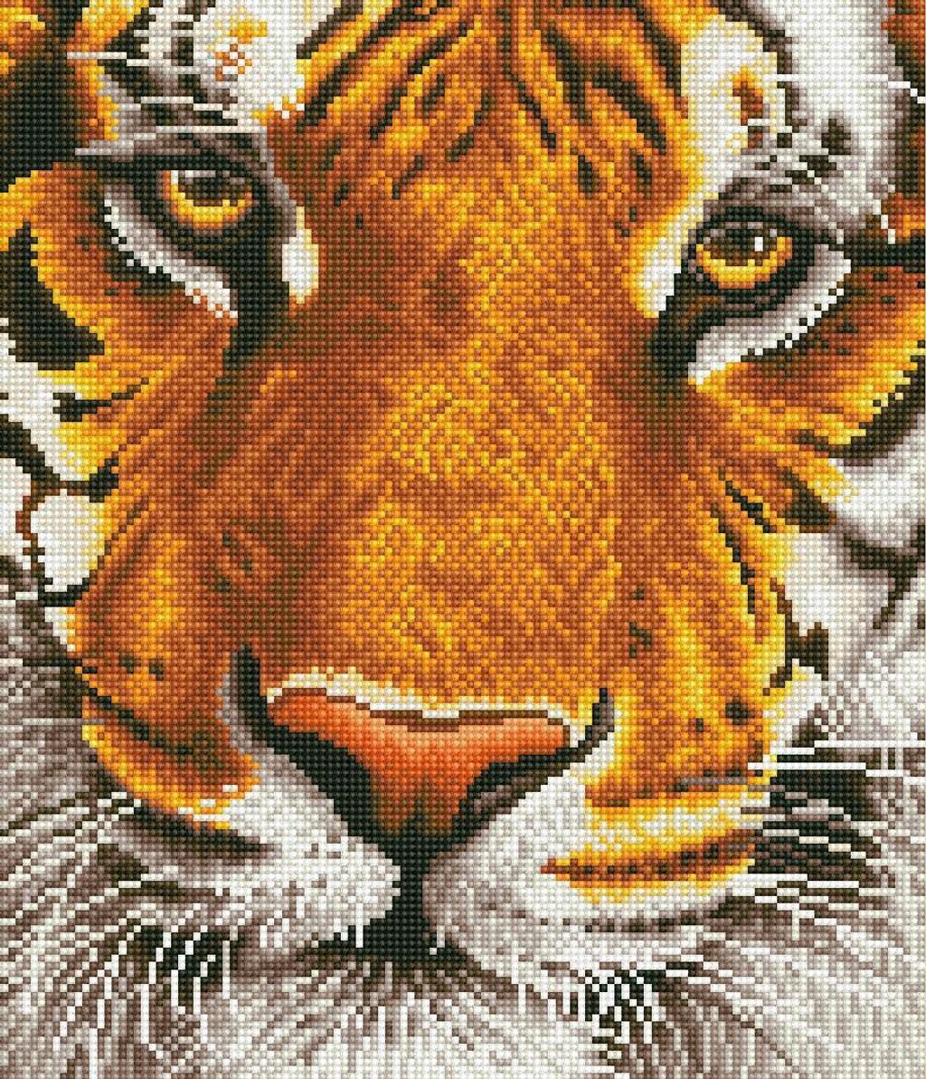 DD8.001%20Bengal%20Magic