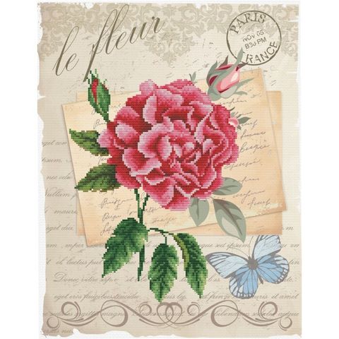 650.028-700x700_Rose_Bloom__36831.1639724184