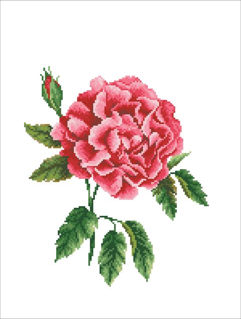 650.028_Rose_Bloom_stitch_area__32372.1651397612