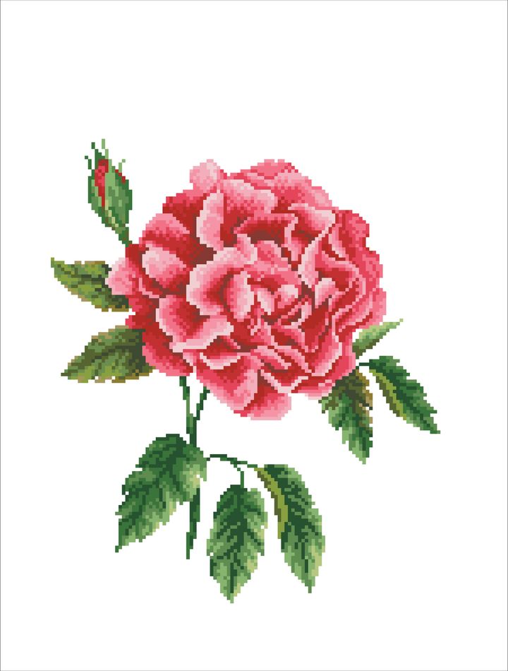 650.028_Rose_Bloom_stitch_area__32372.1651397612
