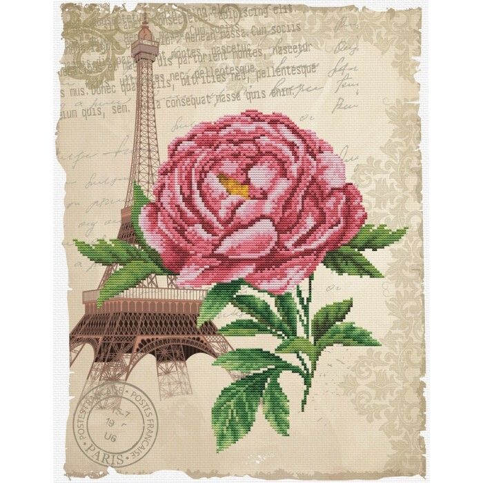 650.029-700x700_Romantic_Rose__57959.1639724091