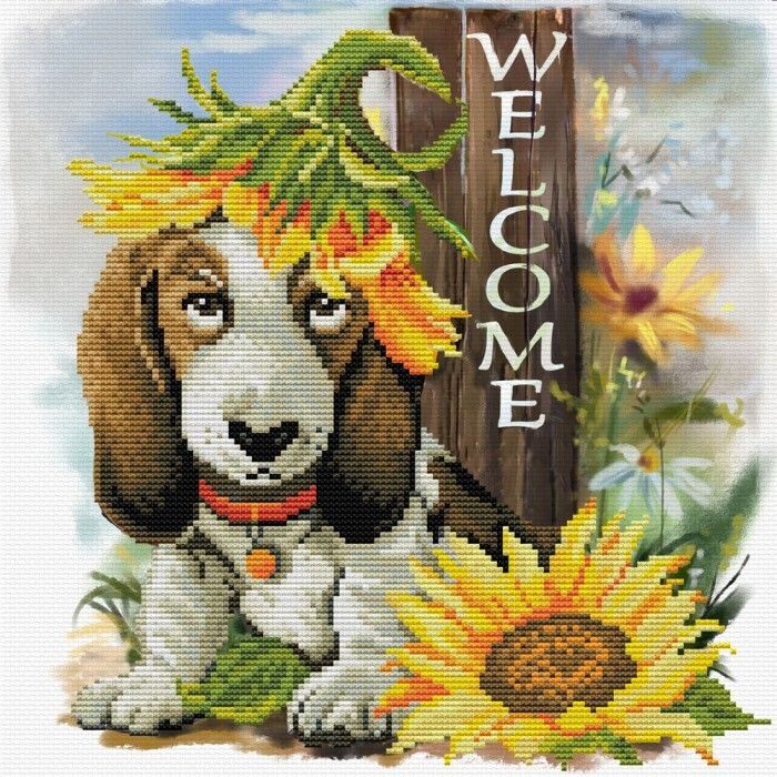650.037-700x700_Sunflower_Hound__44461.1639723496