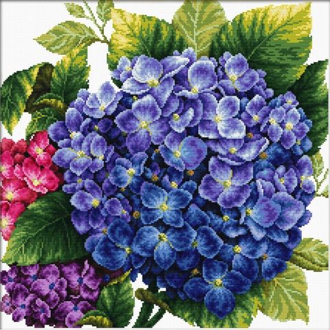 640.088-700x700_Hydranger__03747.1639723384