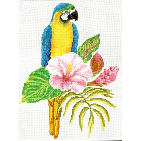 440.098-700x700_Hibiscus_Macaw__16100.1639721144