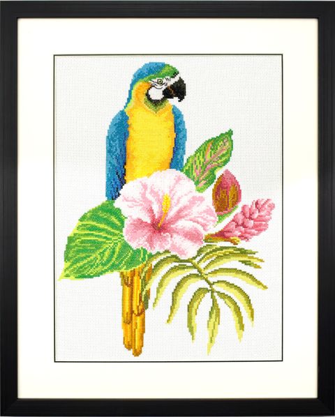 440.098_Hibiscus_Macaw_framed__48459.1651398882