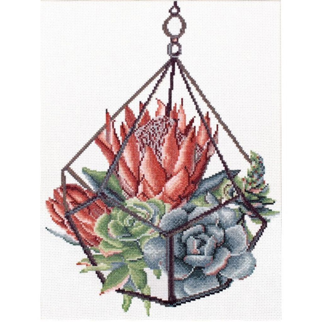 440.096-700x700_Succulent_Garden_1__99920.1639720812