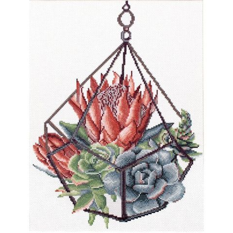 440.096-700x700_Succulent_Garden_1__99920.1639720812