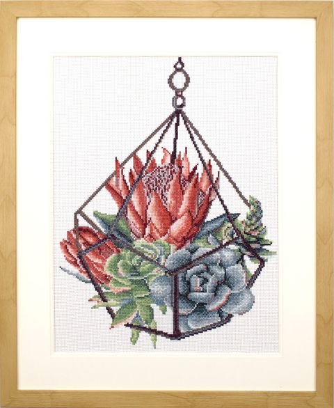 440.096_Succulent_Garden_1_framed__98036.1651397259