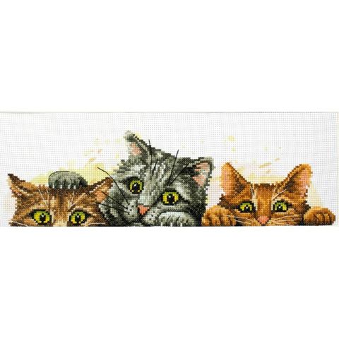 250.003-700x700_Curious_Kittens__17599.1639719977