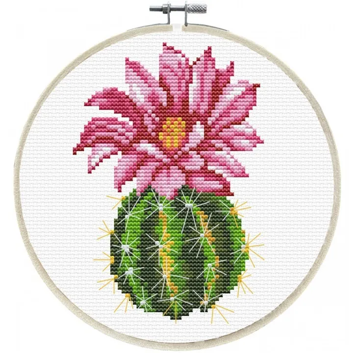 240.062-700x700_Pink_Cactus__44970.1639619183