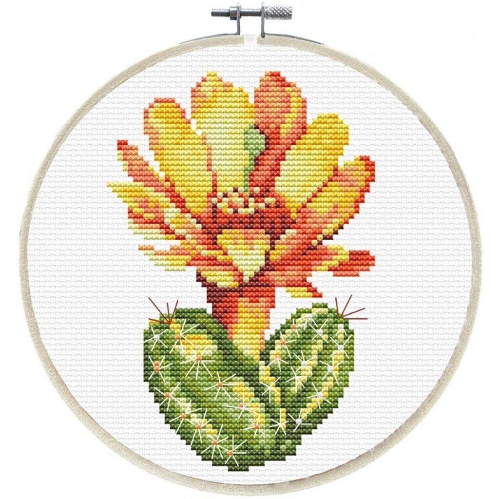 240.061-700x700_Yellow_Cactus__38323.1639618871