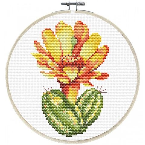240.061-700x700_Yellow_Cactus__38323.1639618871