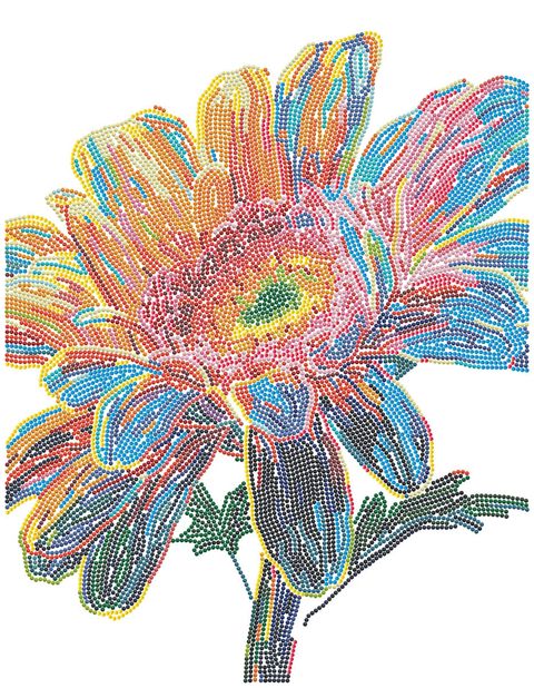 DD25.025_Diamond_Area