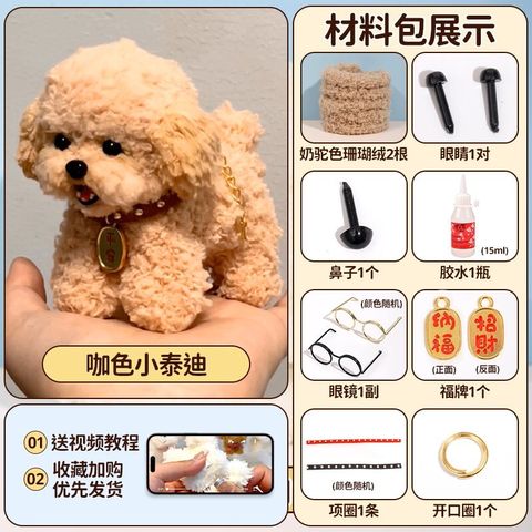Twisted Dog Coffe Poodle