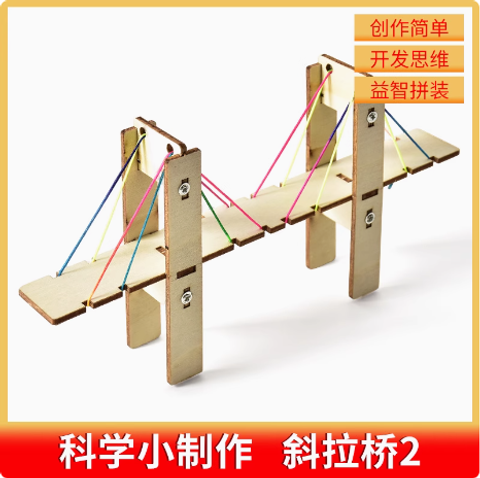 STEM Bridge