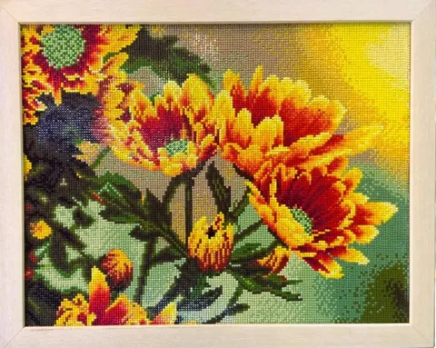 Field Daisies