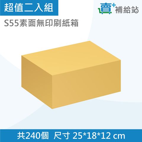 二入組-S55素面-240