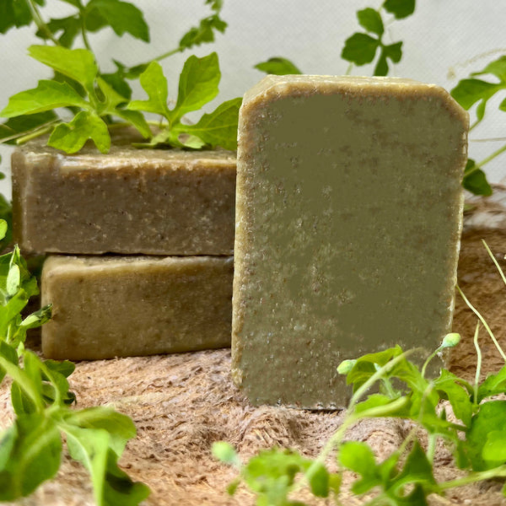 41_20230902_032424_0040