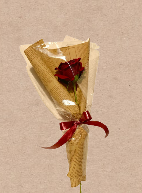 red_rose_1-removebg-preview-removebg-preview