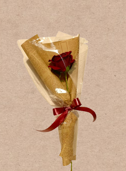 red_rose_1-removebg-preview-removebg-preview