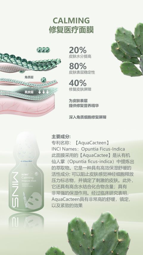 MASK PPT 简体_page-0007-1716205175221